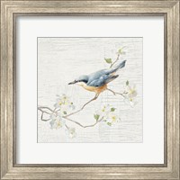 Framed 'Nuthatch Vintage' border=