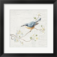 Framed 'Nuthatch Vintage' border=