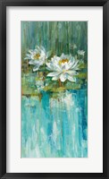 Water Lily Pond II Framed Print