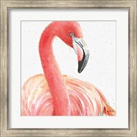 Framed Gracefully Pink II