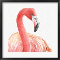 Gracefully Pink II Framed Print