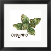 Framed Oregano