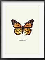 Framed Yellow Butterfly