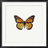 Framed Yellow Butterfly 2