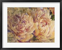 Floral in Bloom III Framed Print