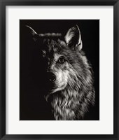 Scratchboard Wolf III Framed Print