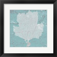 Graphic Sea Fan III Framed Print