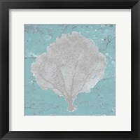 Graphic Sea Fan V Framed Print