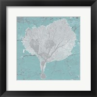 Graphic Sea Fan VIII Framed Print