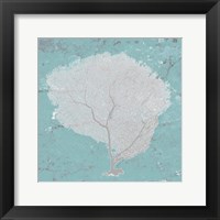 Graphic Sea Fan IX Framed Print