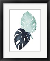 Untethered Palm IV Framed Print