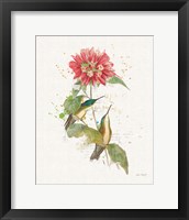 Colorful Hummingbirds I Framed Print