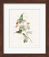 Framed Colorful Hummingbirds III