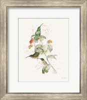 Framed 'Colorful Hummingbirds III' border=