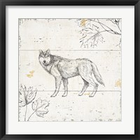 Wild and Beautiful VIII Framed Print