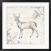 Wild and Beautiful VI Framed Print