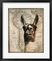 Framed South America Llama Map