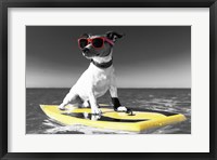 Framed Pop of Color Surf's Up Dog