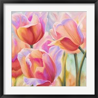 Framed Tulips in Wonderland II