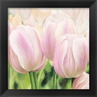 Framed 'Primavera II' border=