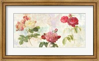 Framed Redoute's Roses 2.0