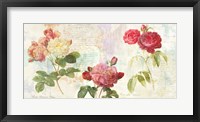 Framed Redoute's Roses 2.0