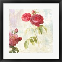 Framed Redoute's Roses 2.0 II