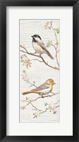 Framed Vintage Birds Panel II