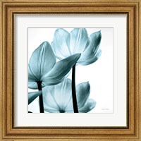 Framed 'Translucent Tulips III Sq Aqua' border=