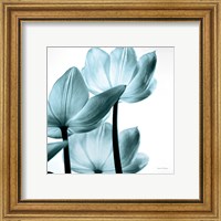 Framed 'Translucent Tulips III Sq Aqua' border=