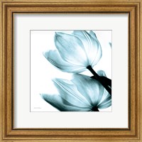 Framed 'Translucent Tulips II Sq Aqua' border=