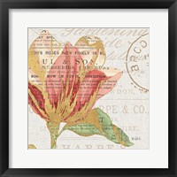 Bookshelf Botanical III Framed Print