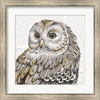 Framed Beautiful Owls I