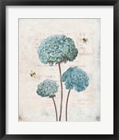 Framed Geranium Study I