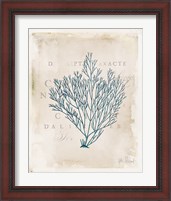 Framed 'Sea Garden II' border=