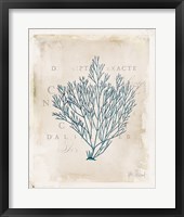 Sea Garden II Framed Print