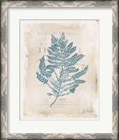 Framed 'Sea Garden III' border=