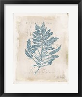 Sea Garden III Framed Print