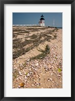 Framed Nantucket Shell in front of Brant Point lighthouse