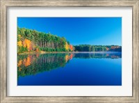 Framed White Pines and Hardwoods, Meadow Lake, New Hampshire