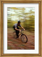 Framed Mountain Biking, Old Logging Road, New Hampshire