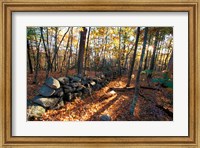 Framed Stone Wall, Nature Conservancy Land Along Crommett Creek, New Hampshire