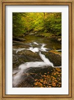 Framed Autumn stream, Grafton, New Hampshire