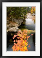 Framed Upper Falls on the Ammonoosuc River, White Mountains, New Hampshire