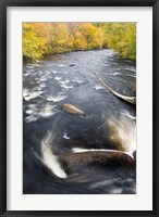 Framed Ashuelot River, New Hampshire