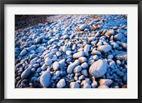 Framed Winter cobblestones, Odiorne, New Hampshire