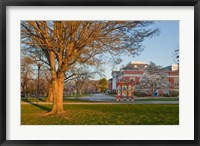 Framed Education, University of New Hampshire