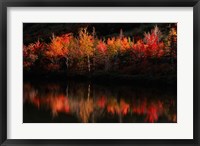 Framed Fall Foliage with Reflections, New Hampshire