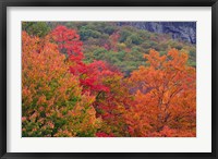 Framed Bemis Falls Trail, Crawford Notch State Park, New Hampshire