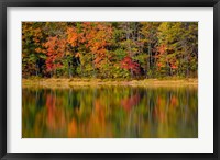 Framed Reflected autumn colors at Echo Lake State Park, New Hampshire